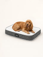 Cocker Spaniel resting on a luxury orthopedic dog bed, combining comfort, support and durability for pet health.