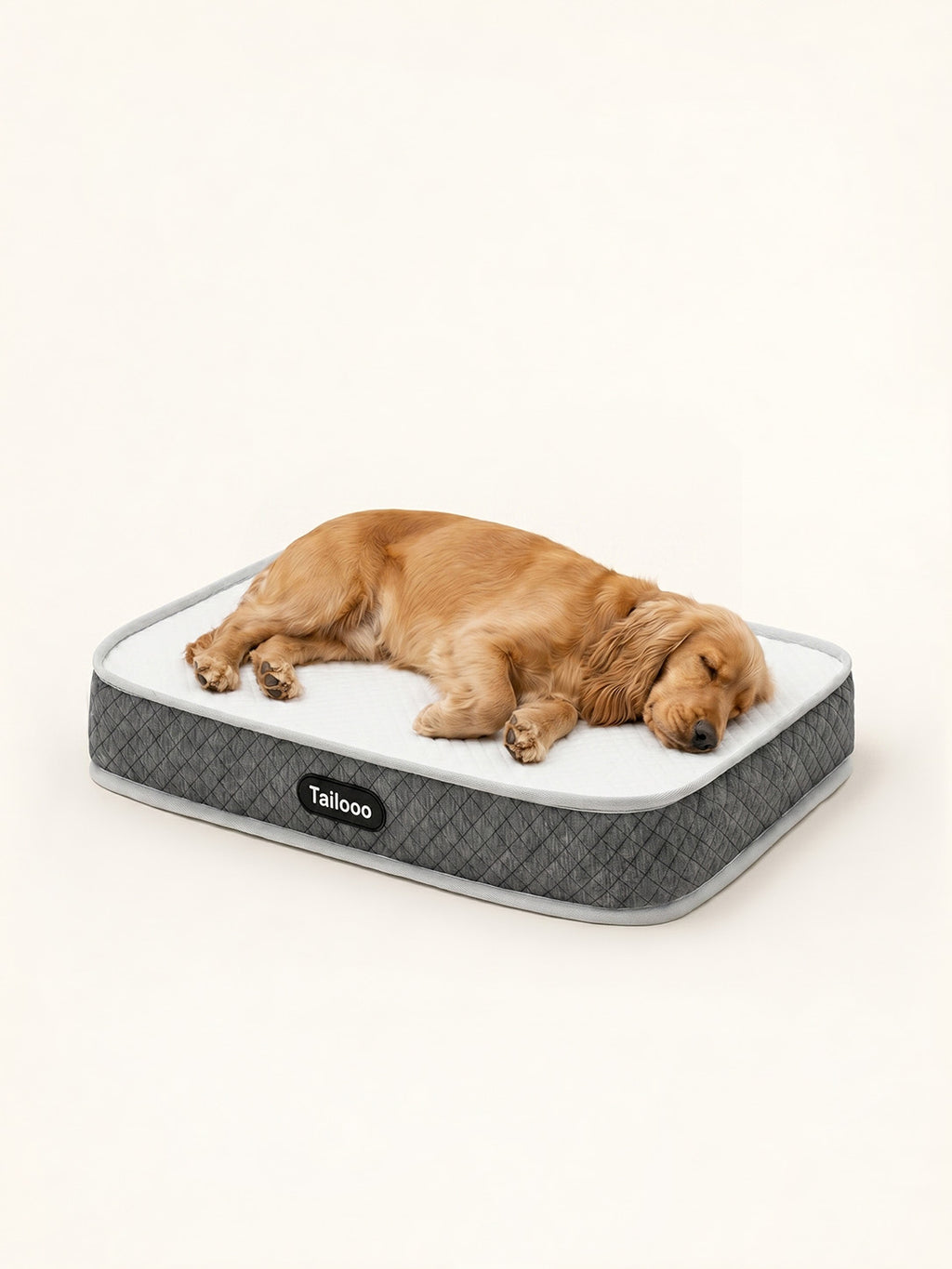 Cocker Spaniel sleeping peacefully on an orthopedic dog bed, ideal for older dogs or those with joint pain.