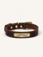 Genuine brown leather personalized dog collar with engraved nameplate, custom personalized dog collars with phone number for lost pet protection.