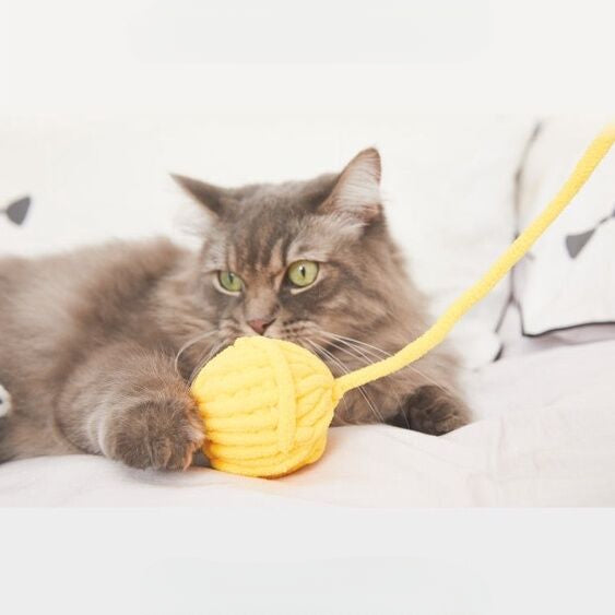 97a2d655-2e54-4624-b341-af19d33b1529