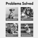 Removable Washable Dog Steps pet Stair Steps for Dogs for Small, Senior