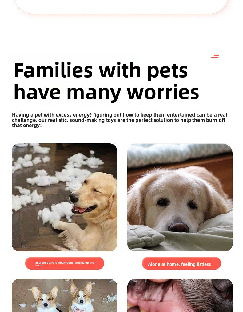 1e0e55b8-c6d1-48ba-ba10-f04cb394ccf6