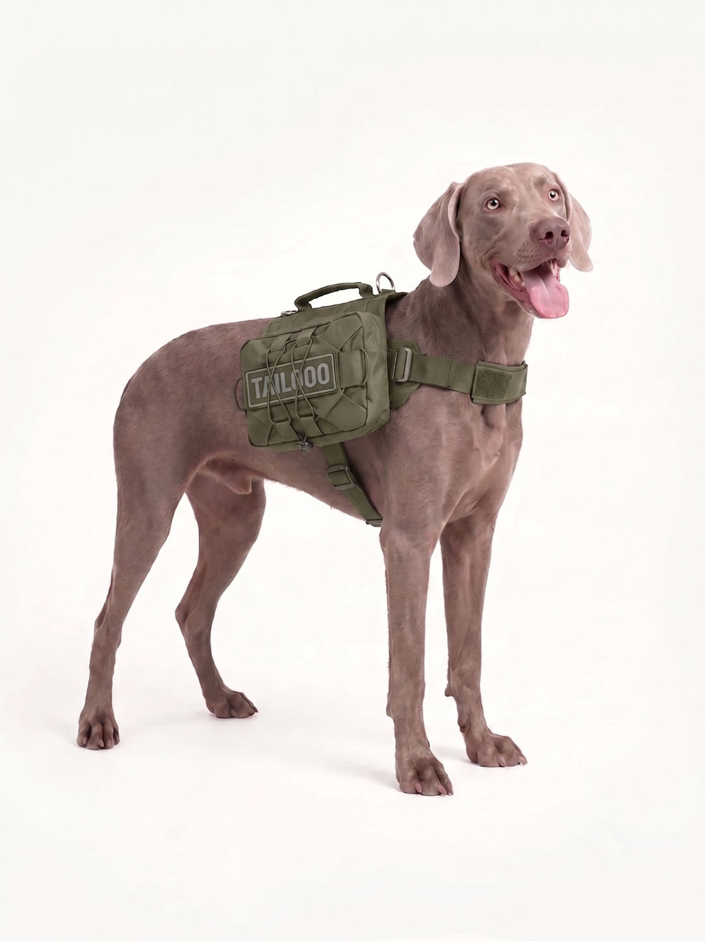 Dog backpack carrier for daily walks with a durable tactical design, offering convenient carrying and reliable support for everyday outdoor activities.