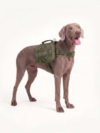Dog backpack carrier for daily walks with a durable tactical design, offering convenient carrying and reliable support for everyday outdoor activities.
