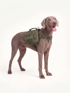 Trail Dog Hiking Pack · Pitch · Olive Green
