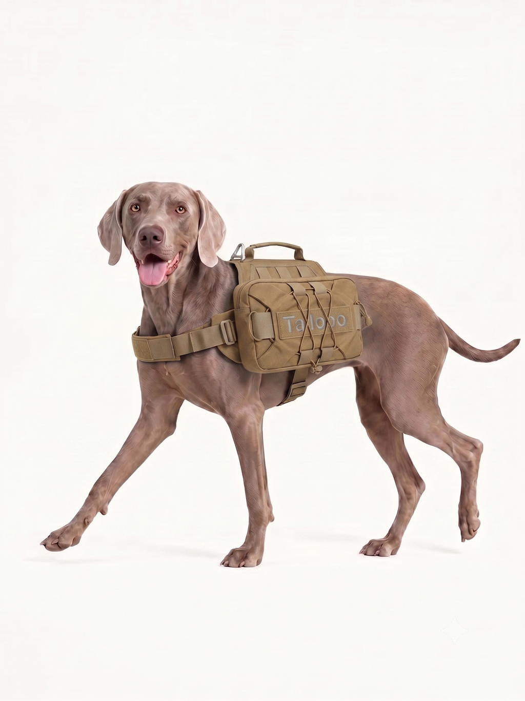 Trail Dog Hiking Pack · Pitch · Dune