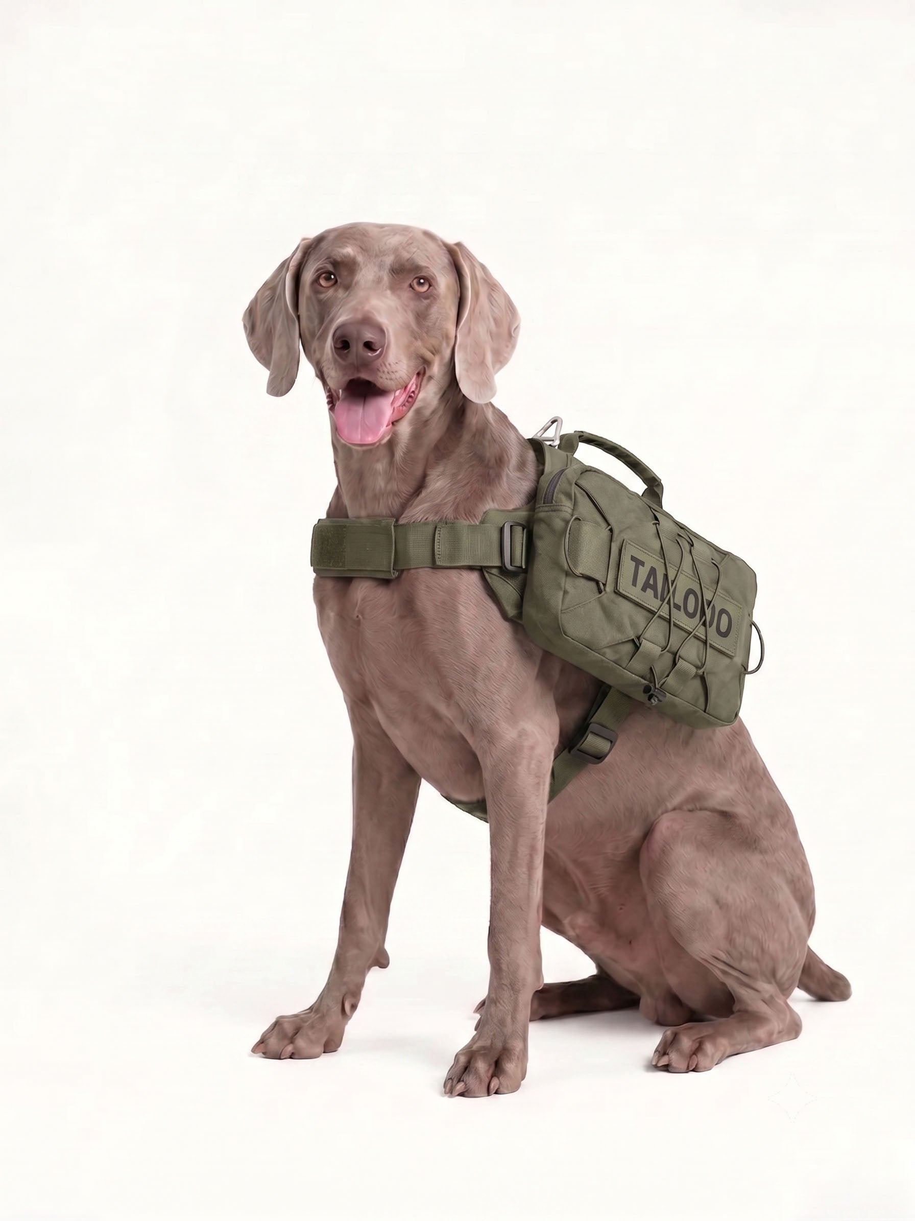 Dog backpack carrier for hiking with durable nylon construction, providing secure support and hands-free convenience on mountain trails and outdoor adventures.