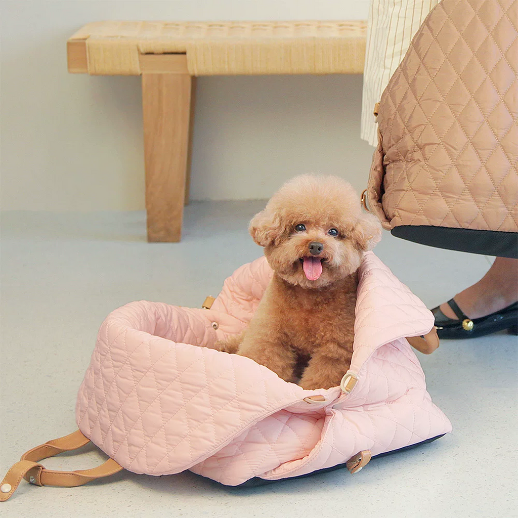 Transitioning the dog car seat into a stylish shoulder carrier for an easy outdoor walk after a safe drive.