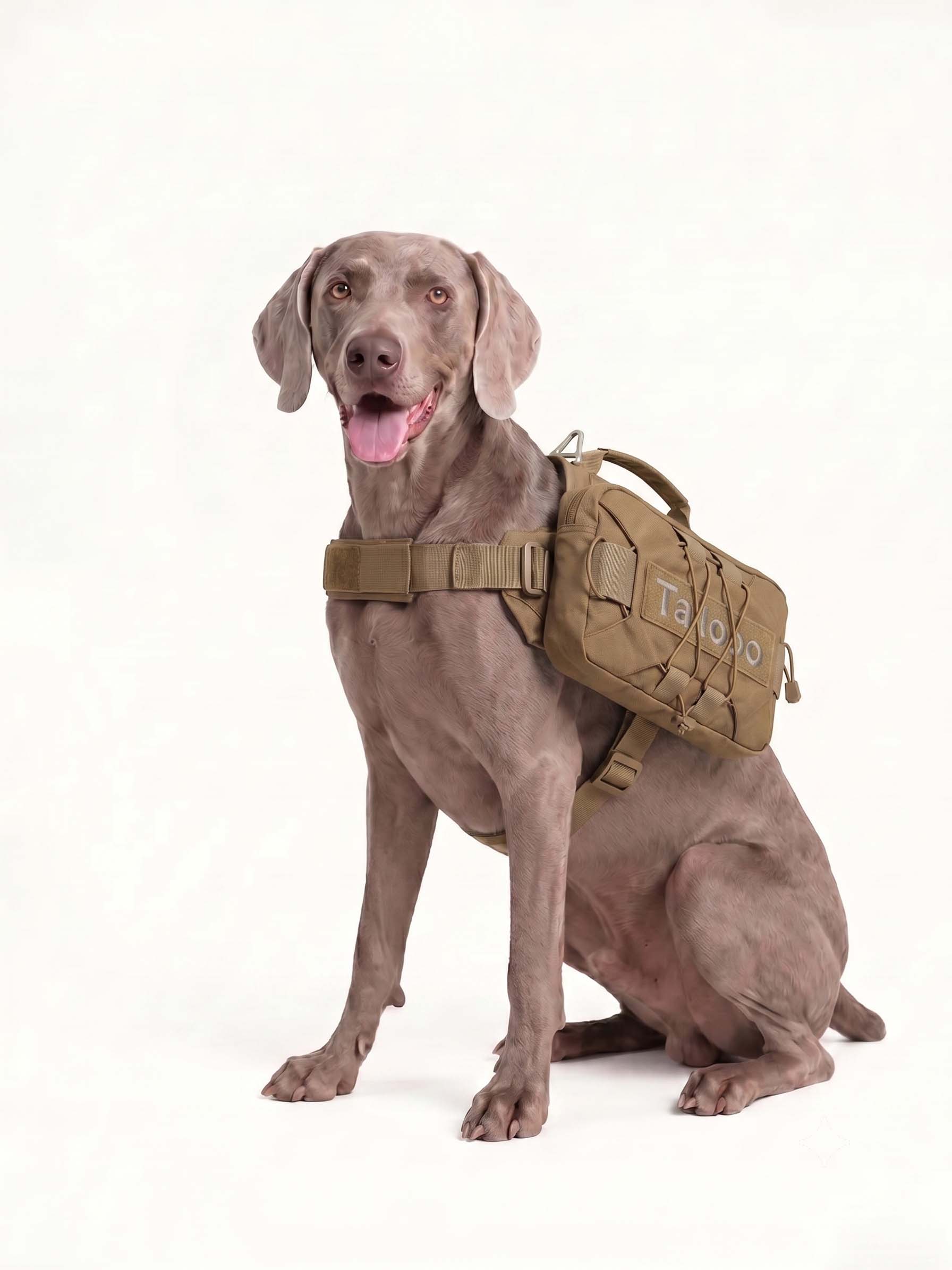 Trail Dog Hiking Pack · Pitch · Dune Imagen secundaria del producto