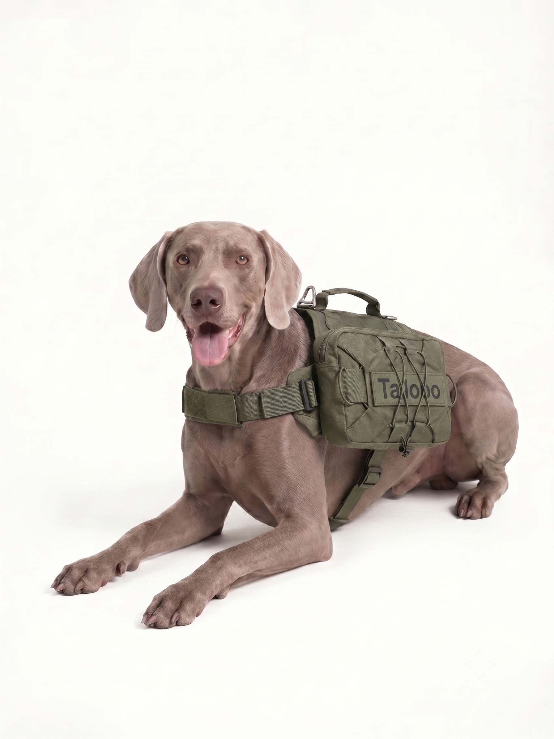 Trail Dog Hiking Pack · Pitch · Field Imagen secundaria del producto