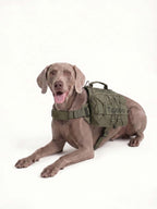 Dog carrier backpack for camping and outdoor trips, offering durable protection, practical storage and comfortable carrying for active dogs.