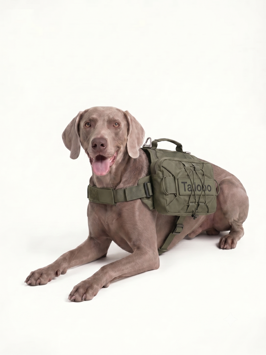 Trail Dog Hiking Pack · Pitch · Olive Green