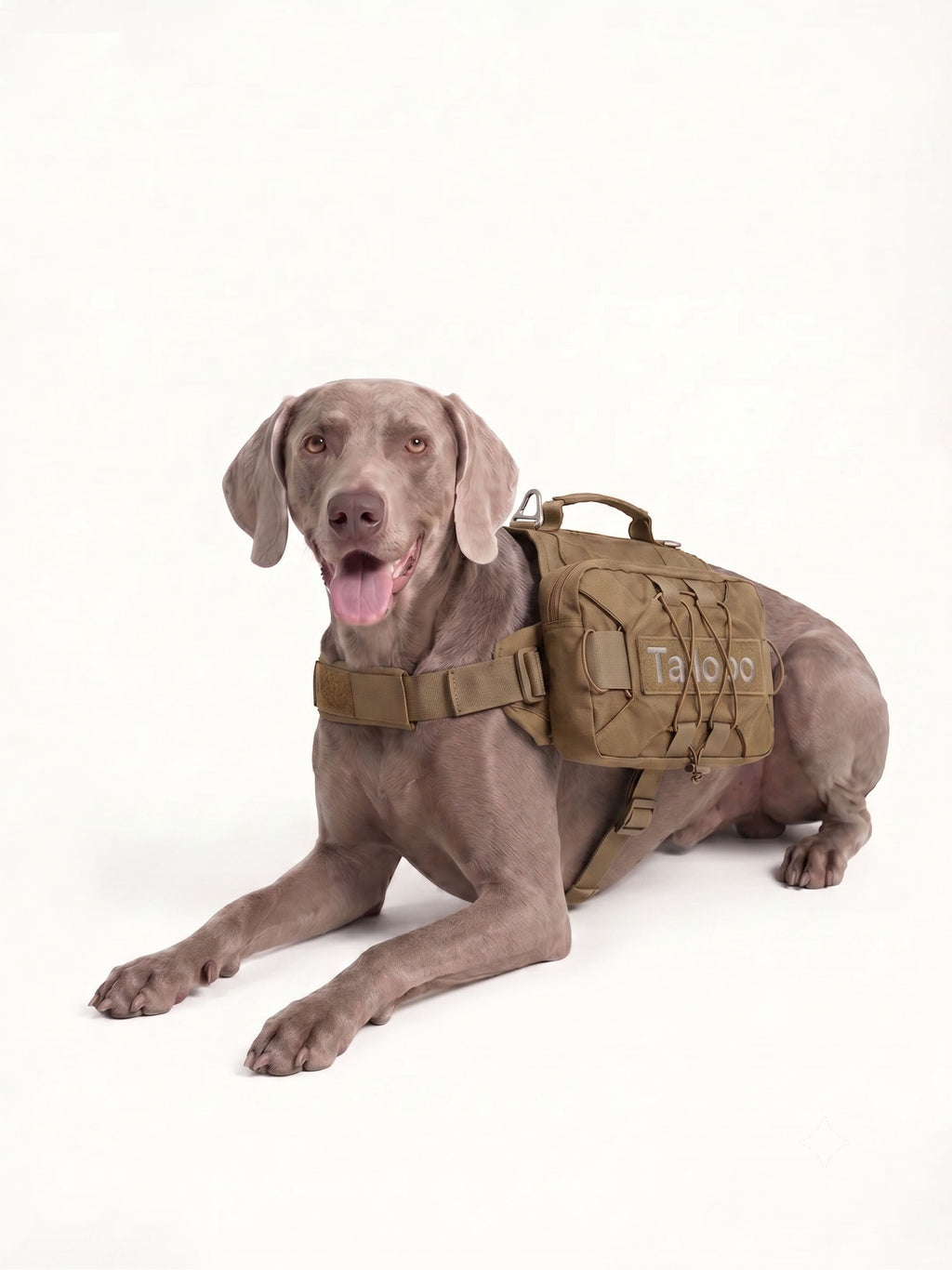 Dog carrier backpack for camping with durable construction and practical storage, keeping your dog secure while making outdoor trips easier.