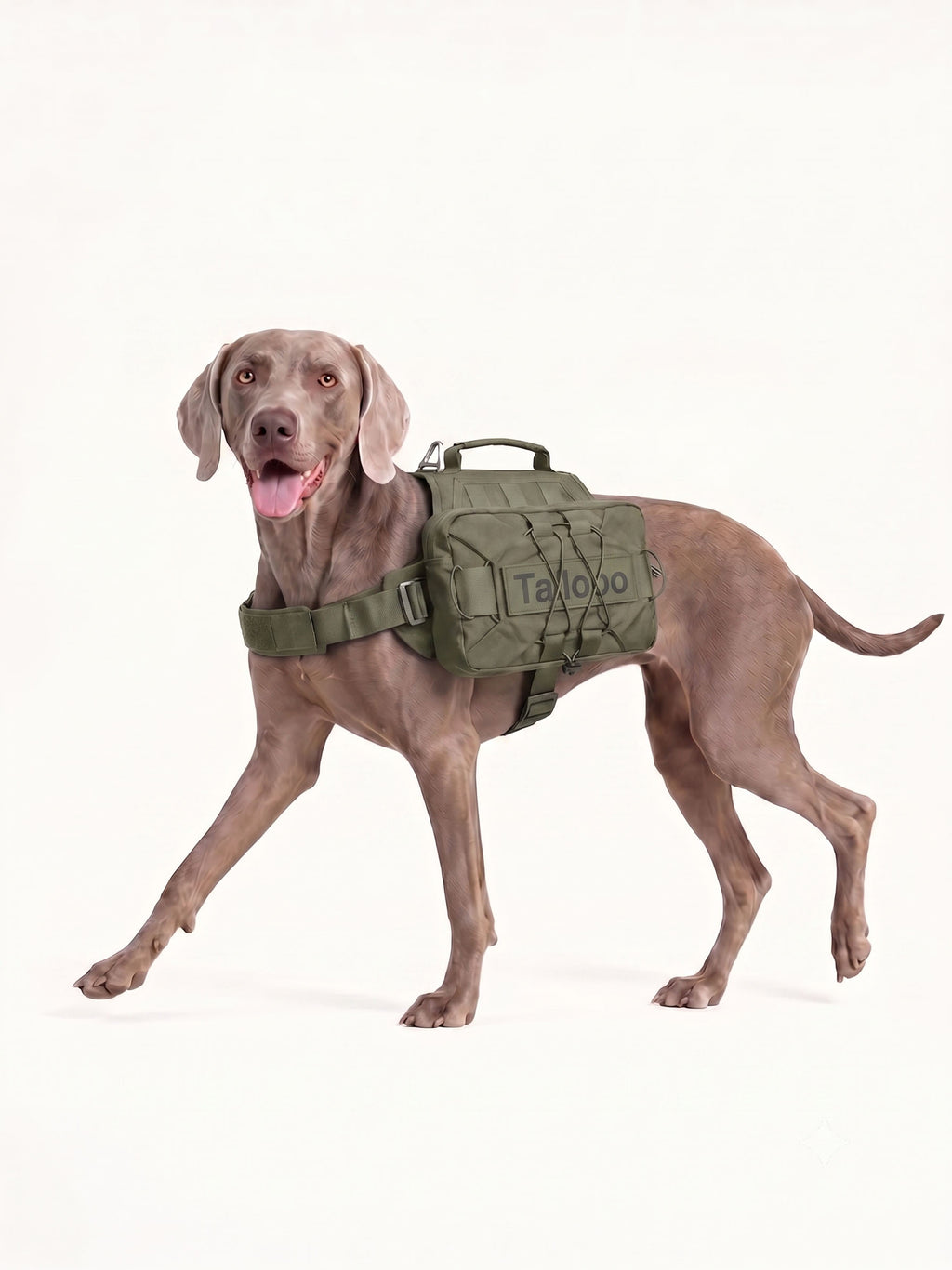Dog carrier backpack for travel with a tactical nylon design, making road trips and outdoor journeys easier, more organized and comfortable.