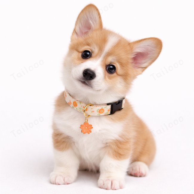 Sunflower Cotton Dog Collar | Elegant British Style Adjustable Neckwear（Orange sunflower） Main Image