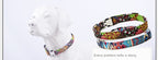 dog-collar-walking-park-floral-pattern2