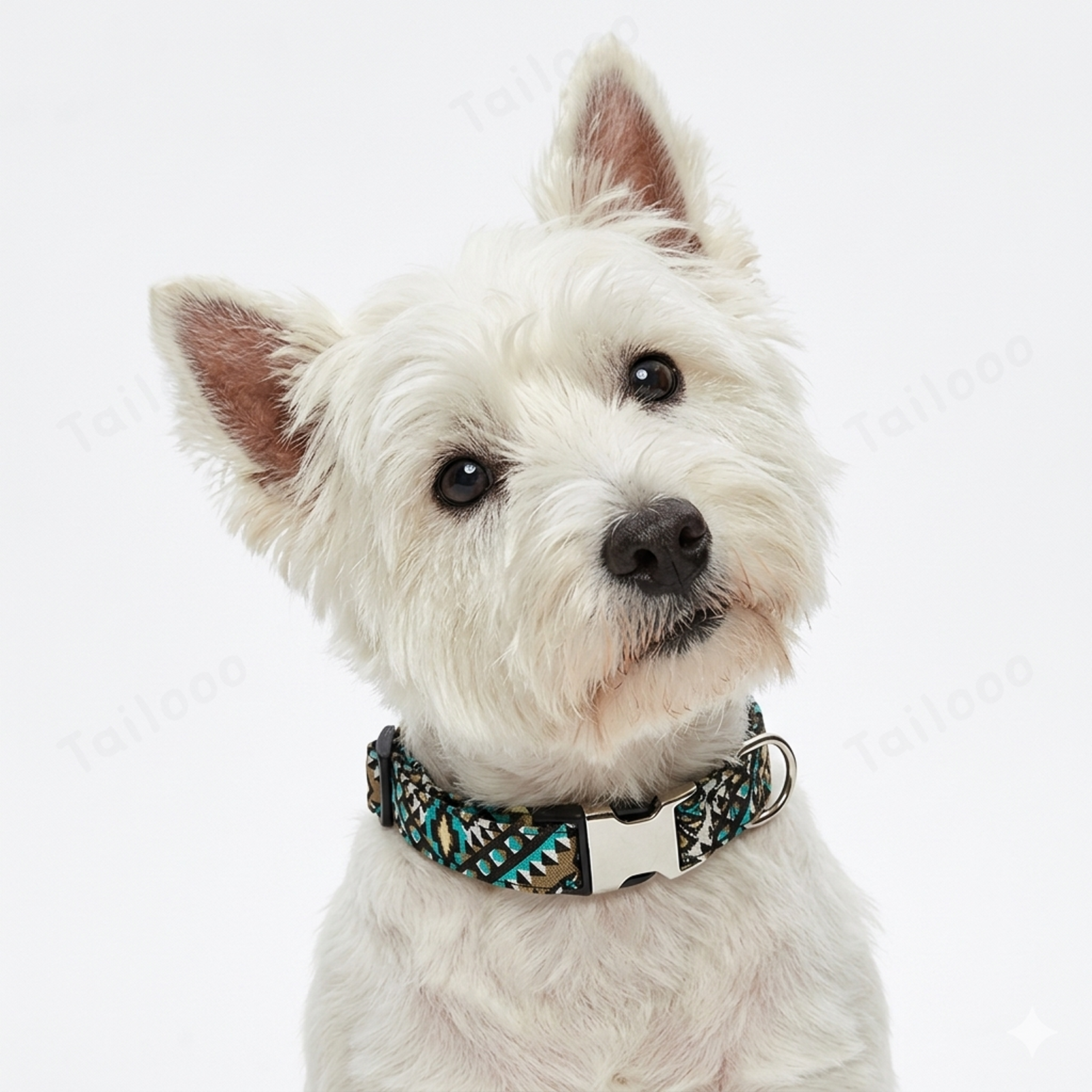 A natural scene of a West Highland White Terrier wearing a vibrant floral dog collar, playing on the grass in a park.（Green Kaleidoscope）