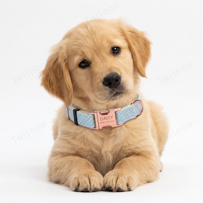 Shiny Bling Bow Dog Collar with Custom Engraved Nameplate - (Aqua blue) Main Image