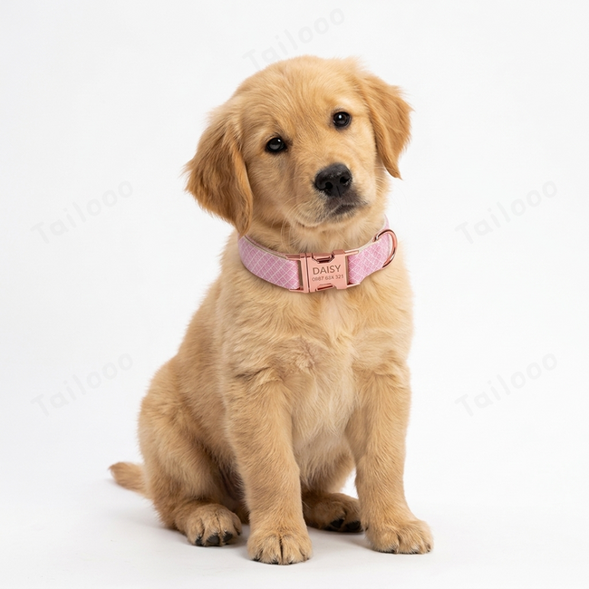 Shiny Bling Bow Dog Collar with Custom Engraved Nameplate - (Light pink) Main Image