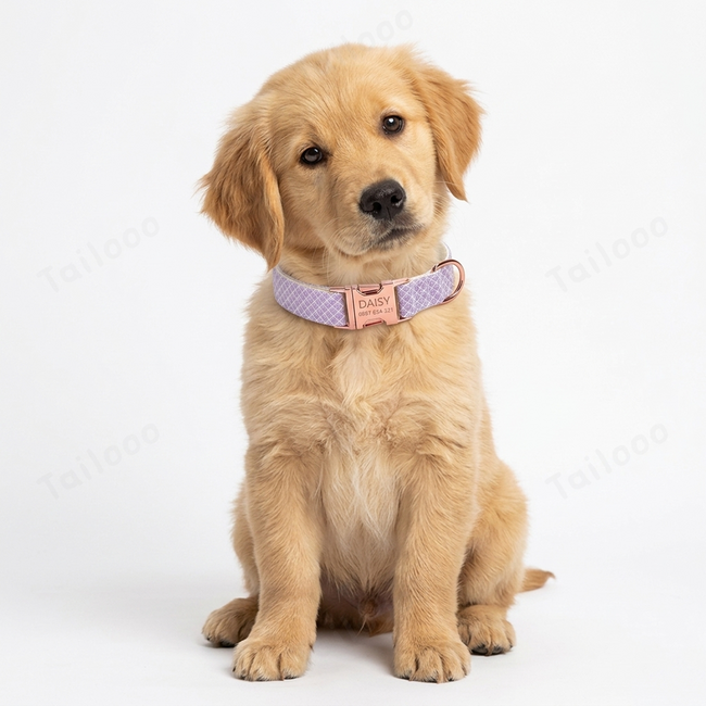 Shiny Bling Bow Dog Collar with Custom Engraved Nameplate - (Purple taro) Main Image