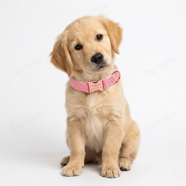 Shiny Bling Bow Dog Collar with Custom Engraved Nameplate - (Rose red) Main Image