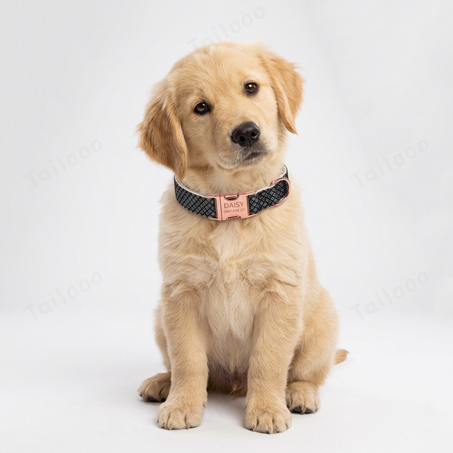 Shiny Bling Bow Dog Collar with Custom Engraved Nameplate - (Silver-black) Main Image