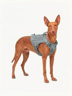 Trail Dog Harness combines outdoor performance with everyday comfort, making daily walks, weekend hikes and travel easier for dogs and owners.