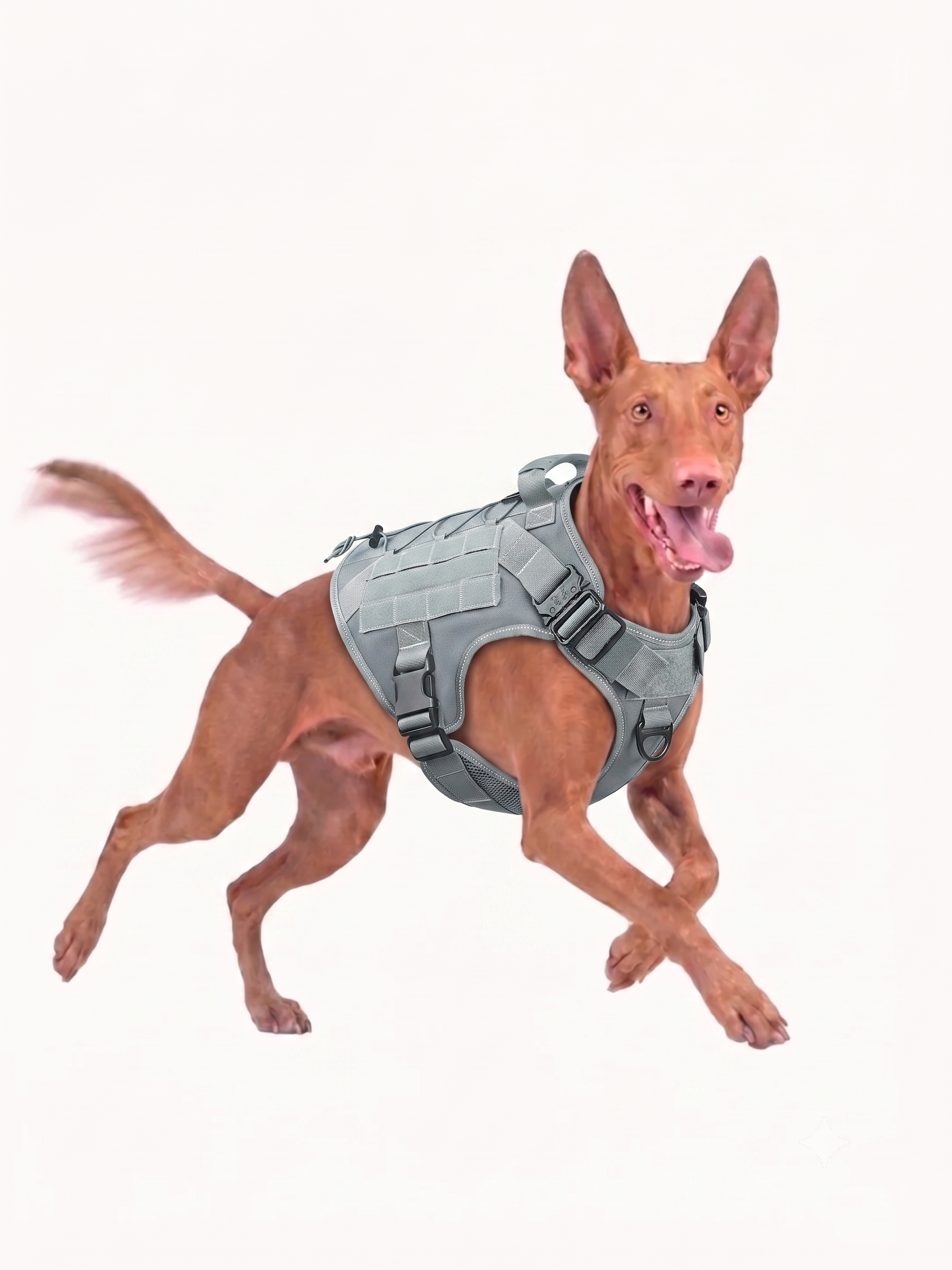 Taktisches Hundegeschirr – Kein Ziehen, einfaches Gehen & MOLLE-Patch-Design für alle Größen