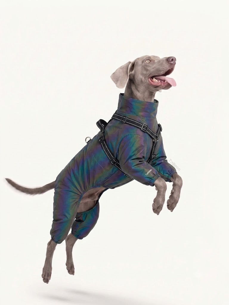 Waterproof Full-Body Dog Rain Coat · Holographic