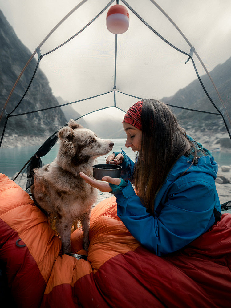 Dog on a hiking trip sharing a meal with its owner inside a tent, enjoying a cozy outdoor camping adventure together.