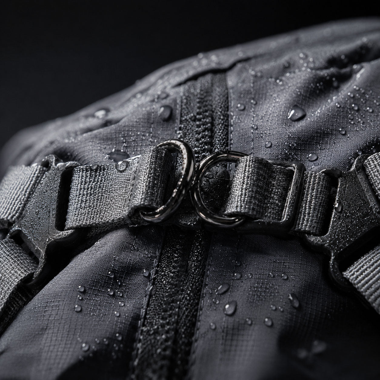Close-up of a chest harness D-ring and strap buckle on a waterproof dog jacket, designed for secure leash attachment and anti-escape control.