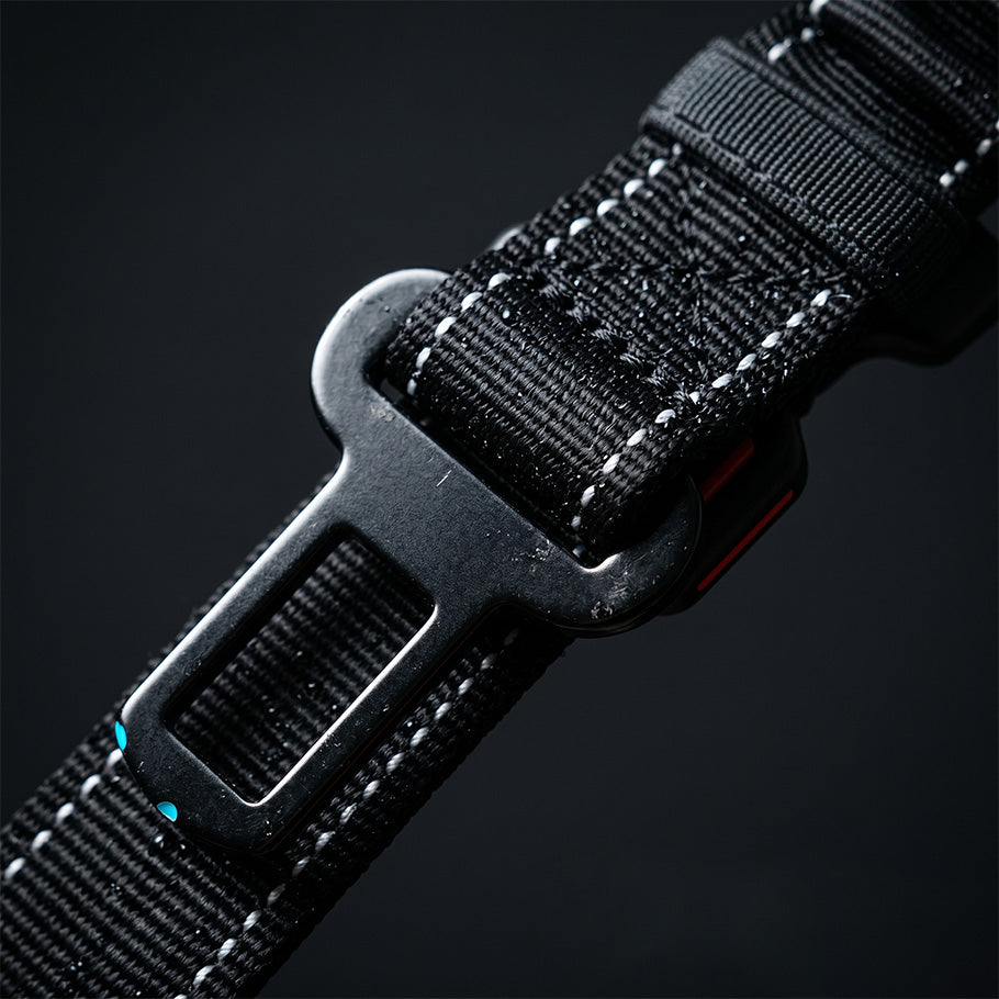 Close-up of a dog leash car seat belt connector clip on black reflective nylon webbing, showing secure vehicle attachment function.