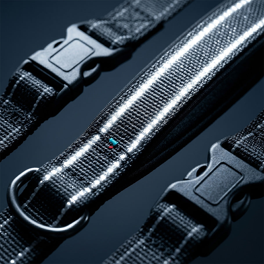 Black dog leash with bright dual reflective strips glowing under light, designed for high visibility during night walks.