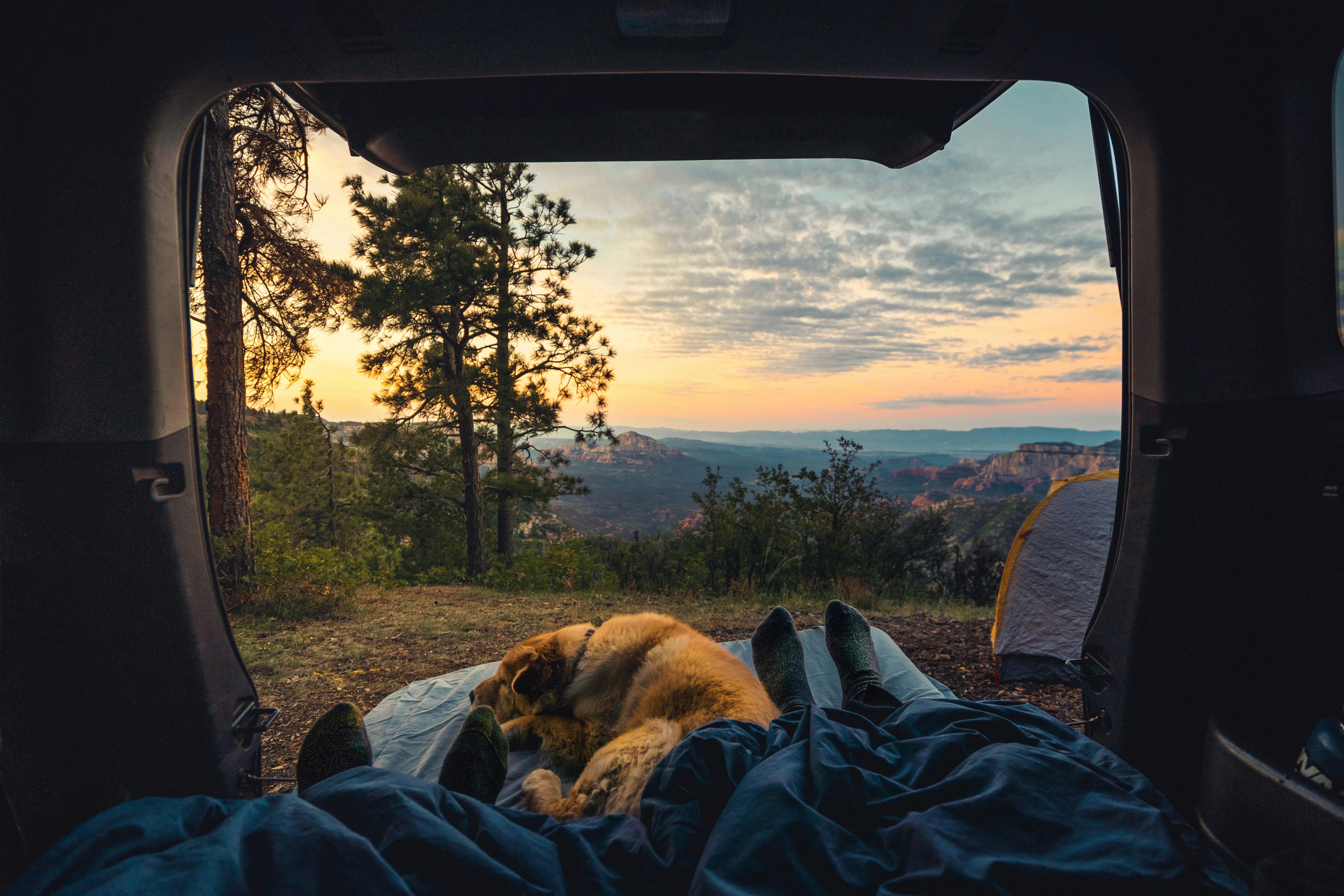 Golden retriever dog relaxing with owner at sunset van campsite, pet-friendly road trip adventure with Tailooo travel gear