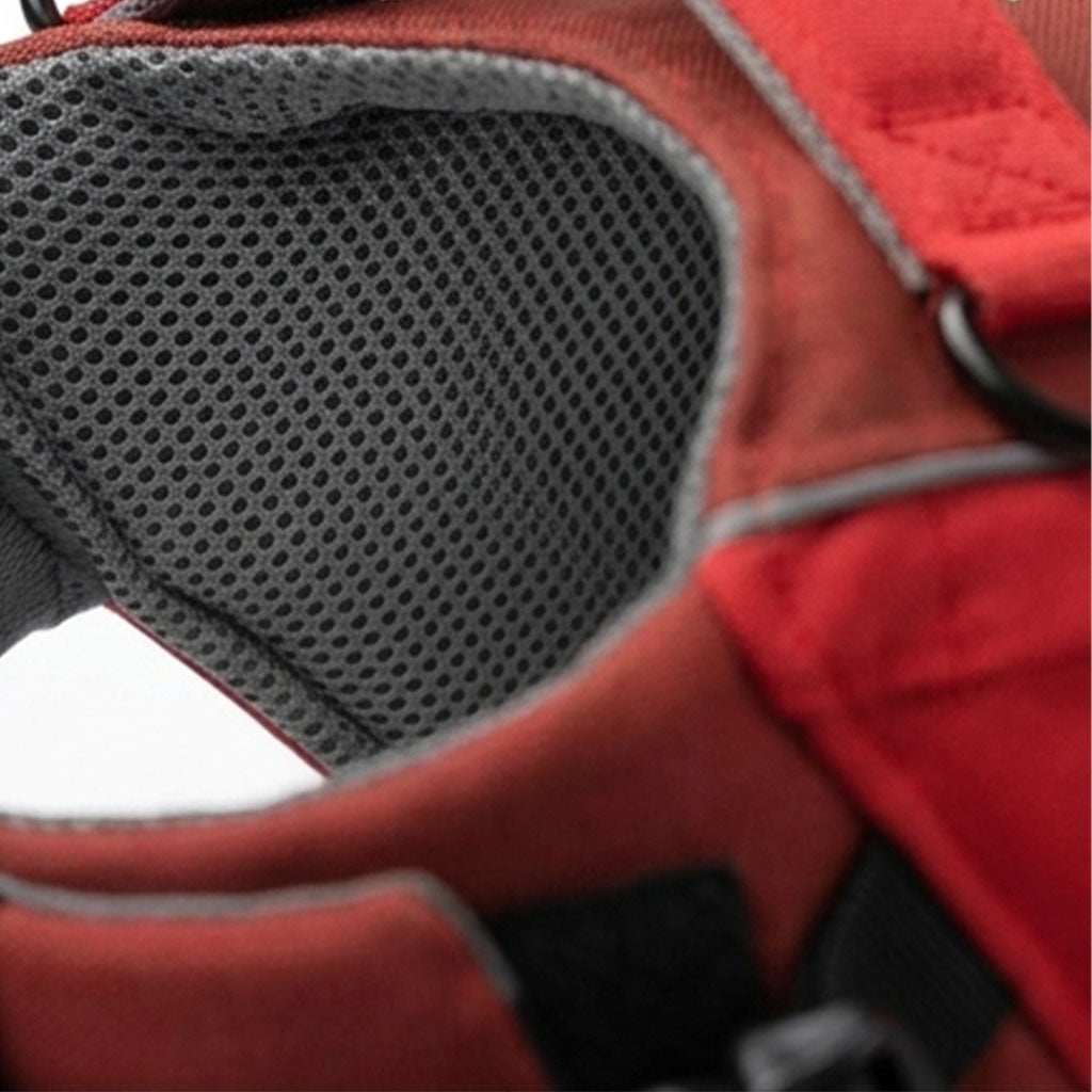 Red Dog Life Jacket easy wear guide shows how to secure adjustable buckles and create a comfortable fit before swimming or water play