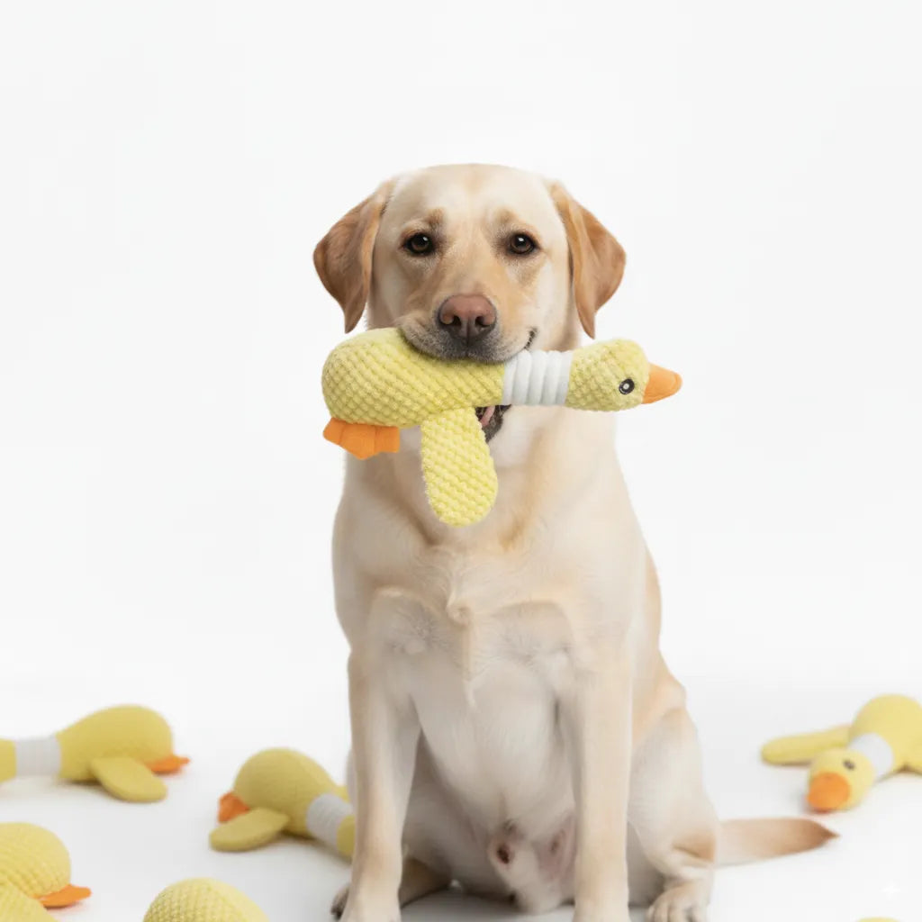 Goose Dog Toy with Squeaker – Durable Plush Chew & Tug Toy for Puppies, Small & Medium Dogs