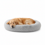 Golden retriever sleeping on a round, plush grey pet bed against white background
