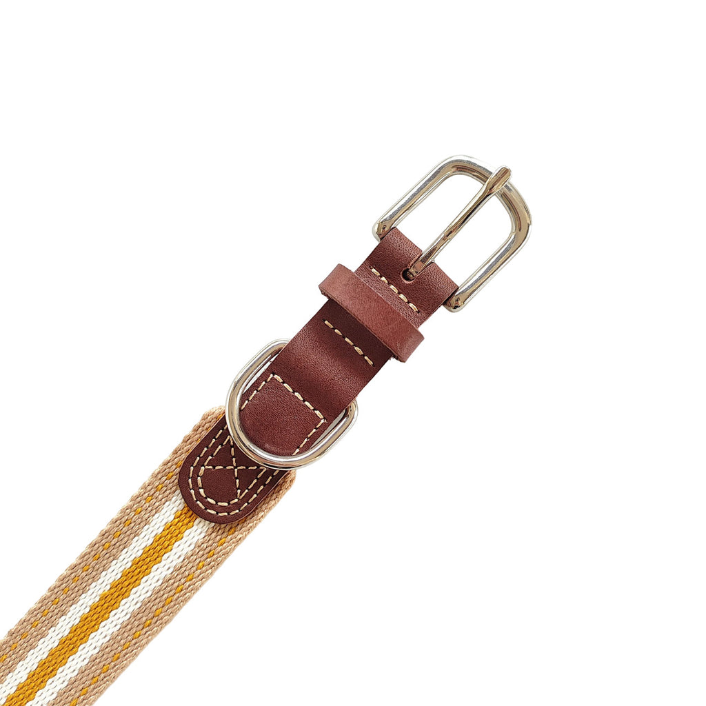 Woven Cotton & Leather Dog Collar– Adjustable, Soft & Durable Design（Ginger Yellow）