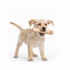 Natural Coffee-Wood Dog Chew Toy