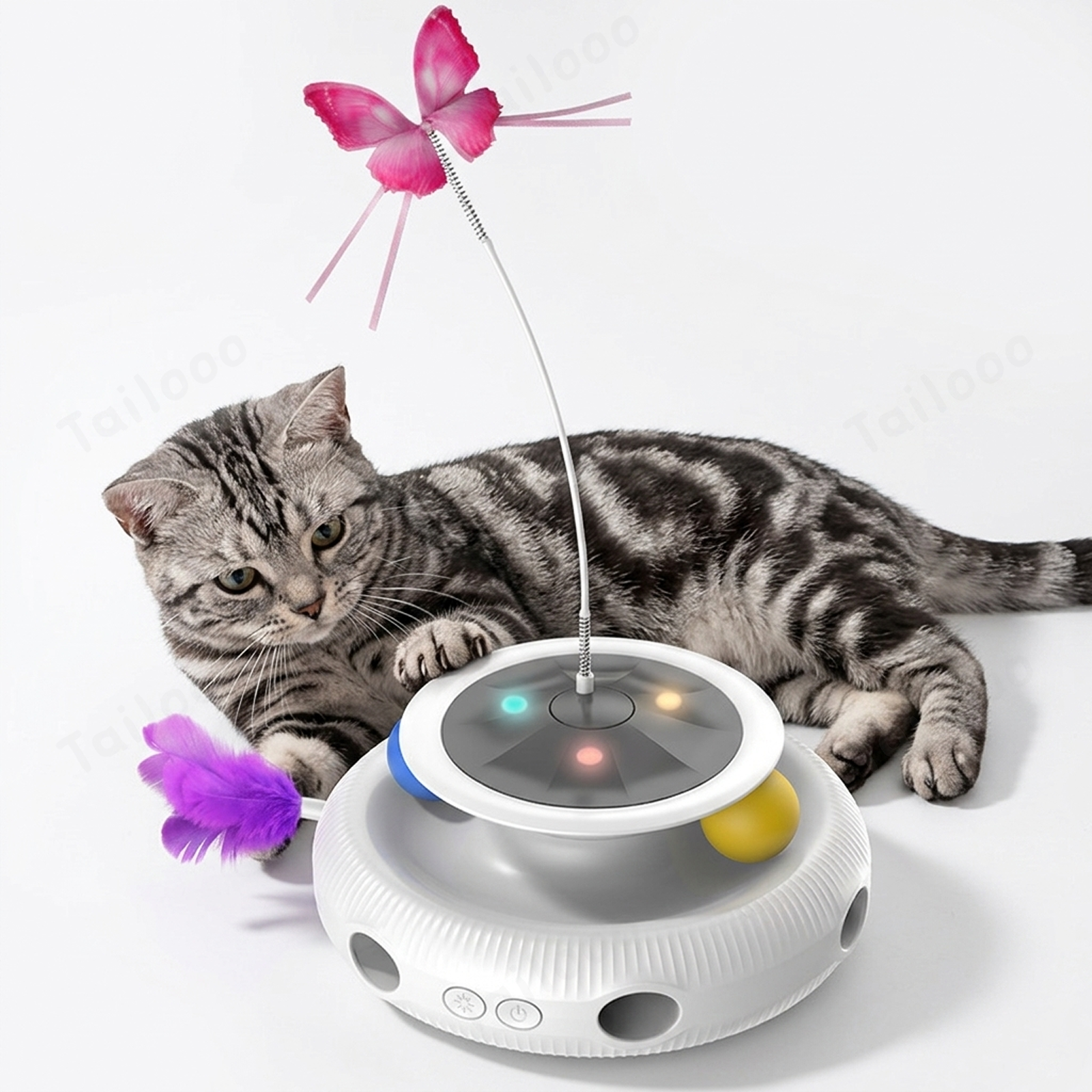 Electronic cat toys keeping indoor kittens active and entertained in a cozy home living room setting.