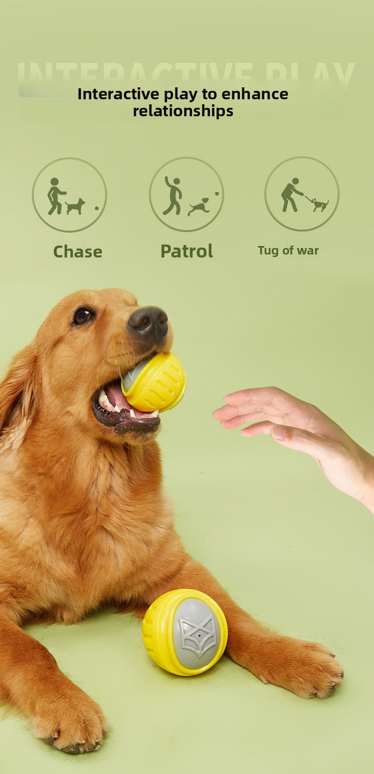 4eb7193c-8a97-4ffa-9491-bf3f2e1a57bb