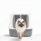 Automatic cleaning cat door brush for litter box entrance