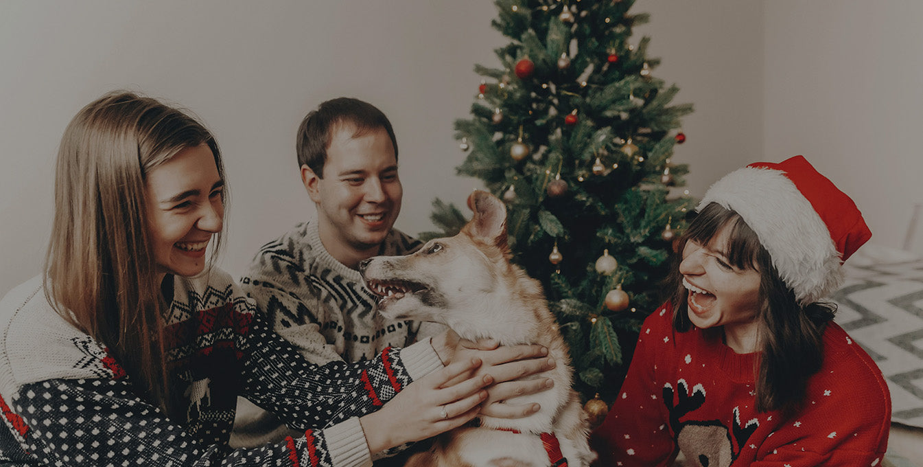 Happy family with their dog celebrating Christmas at home, wearing festive sweaters and gathering by the decorated tree.