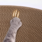 Double-Layer Transparent Tunnel Cat Bed