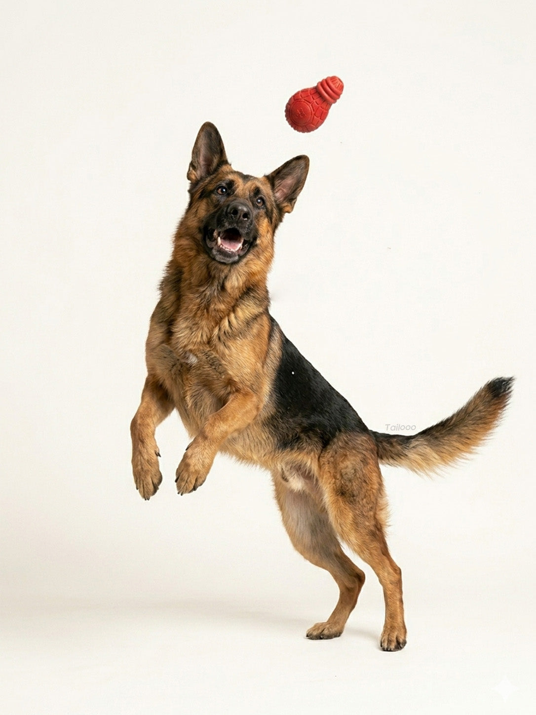 German Shepherd jumping to catch a red dog chew toy, an interactive chew toy perfect for playtime and training.