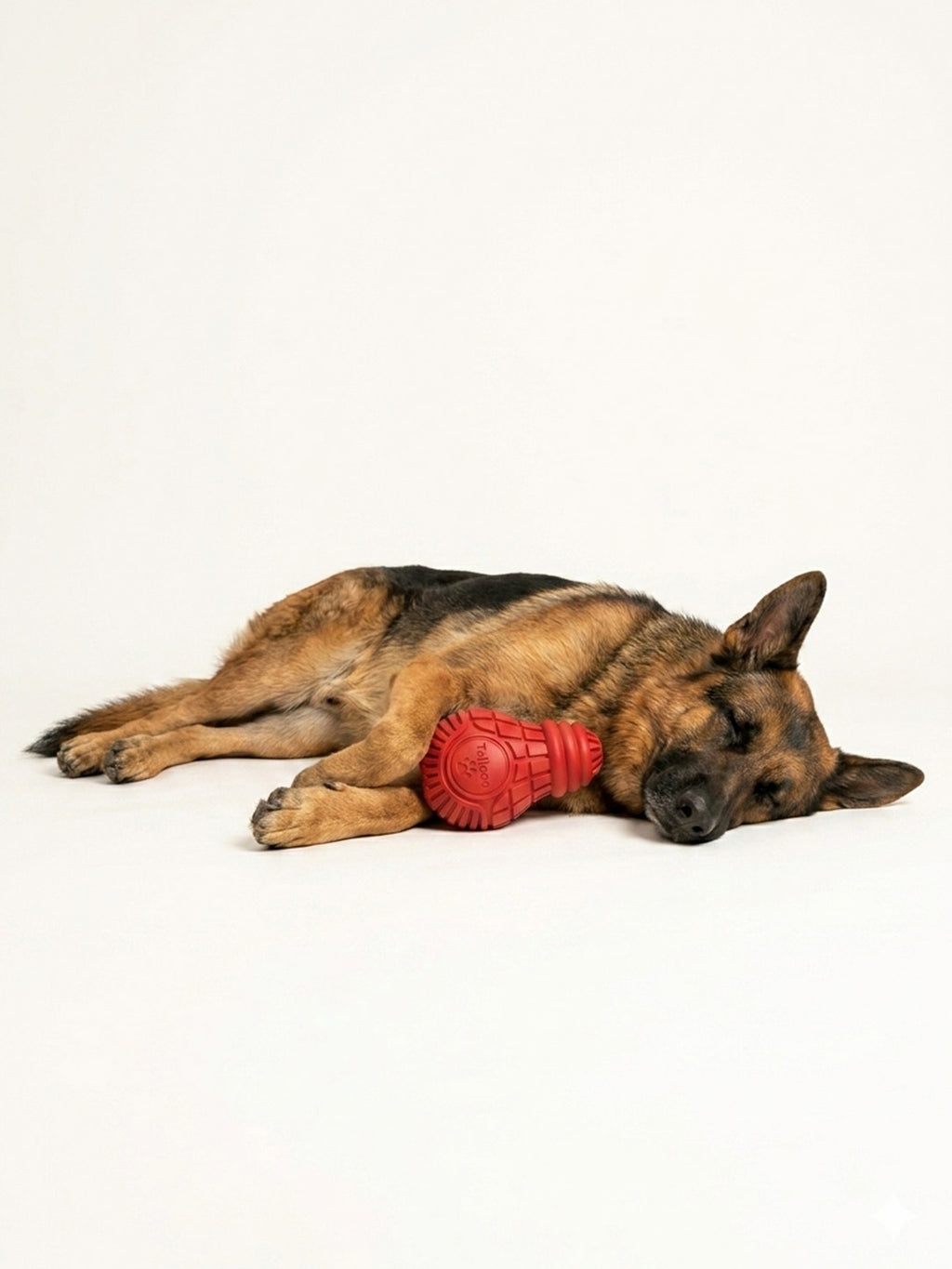 German Shepherd sleeping with a durable red dog chew toy, designed to satisfy chewing instincts and keep dogs entertained.