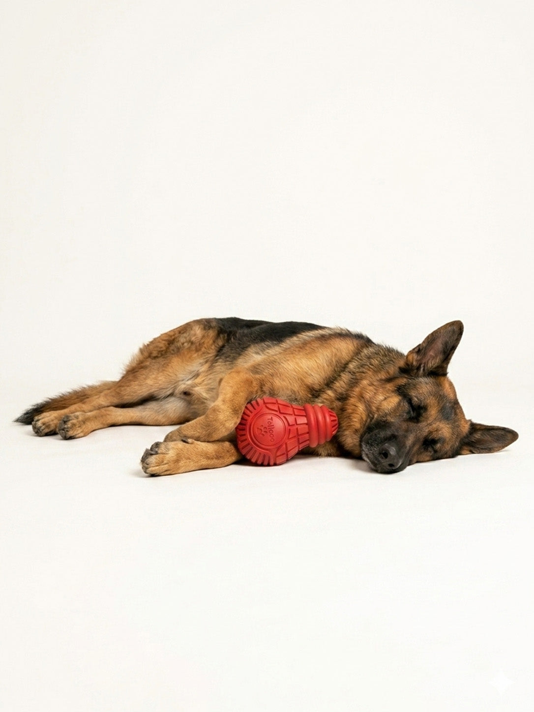 German Shepherd sleeping with a durable red dog chew toy, designed to satisfy chewing instincts and keep dogs entertained.