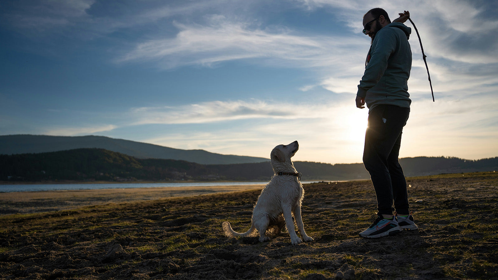 golden-retriever-obedience-training-with-owner-at-sunset