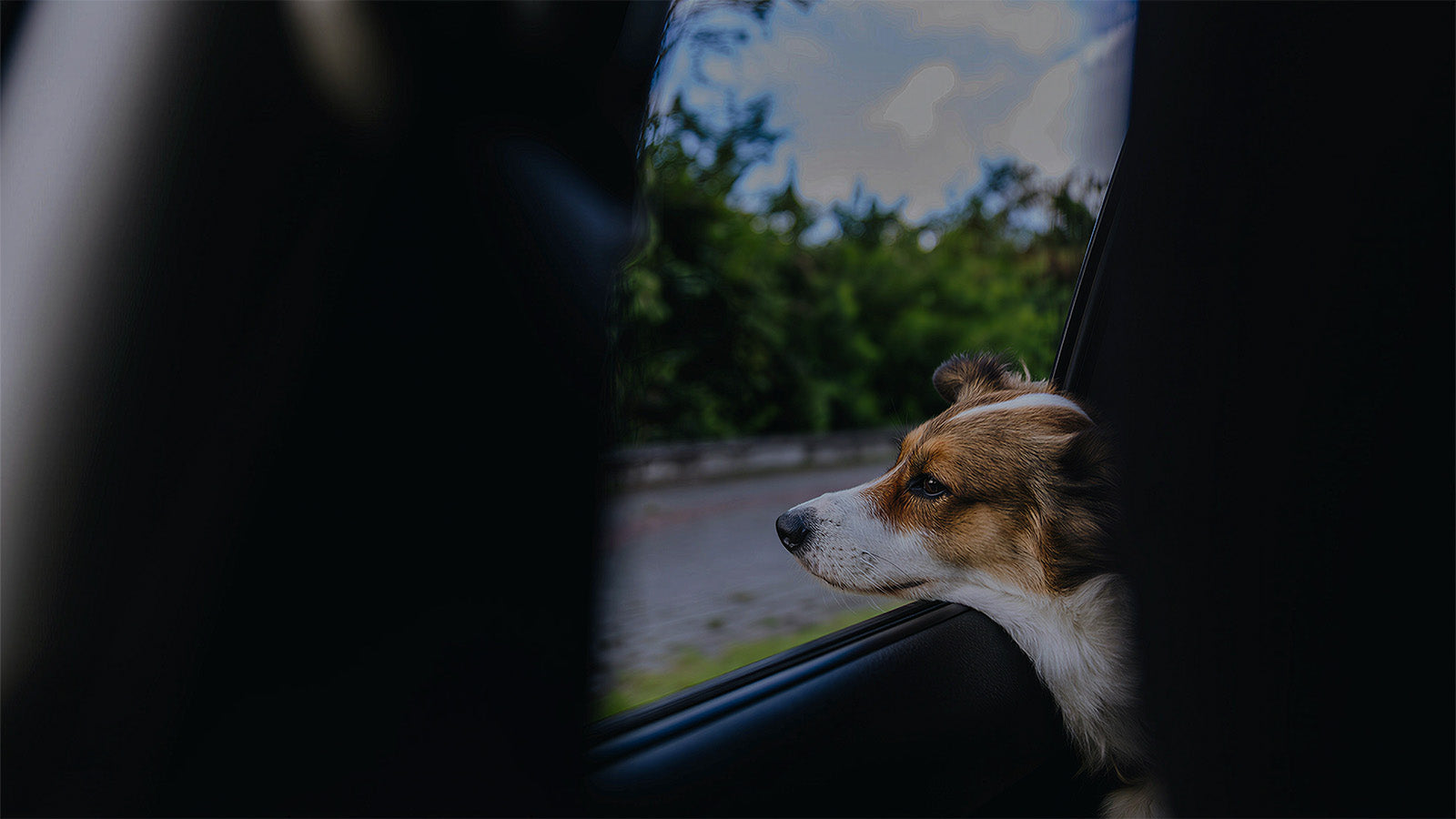 Happy dog enjoying a car ride with head out the window, safely secured in a comfortable dog car seat during travel.
