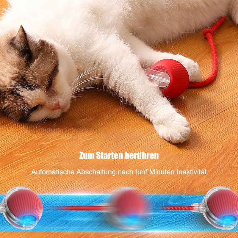360-degree view of the interactive dog puzzle toy showing the durable shell and the fuzzy teaser tail designed for chasing.